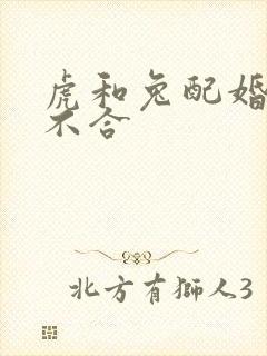 虎和兔配婚姻合不合