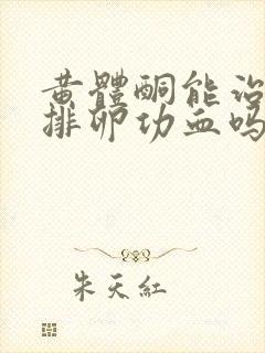 黄体酮能治疗无排卵功血吗