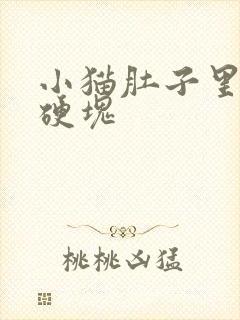 小猫肚子里面有硬块