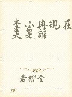 李小冉现在的丈夫是谁封面