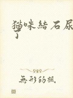 猫咪结石尿出来了