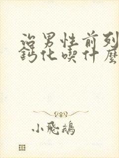 治男性前列腺有钙化吃什么比较好