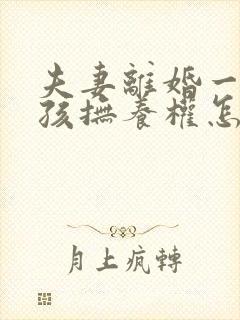 夫妻离婚一个小孩抚养权怎么判