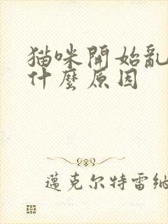 猫咪开始乱尿是什么原因