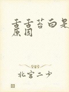 舌舌苔白是什么原因