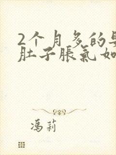 2个月多的婴儿肚子胀气如何快速消除封面