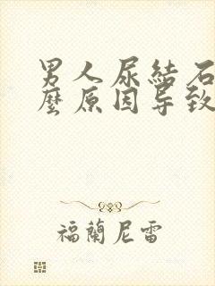 男人尿结石是什么原因导致的