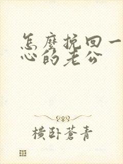 怎么挽回一个死心的老公封面