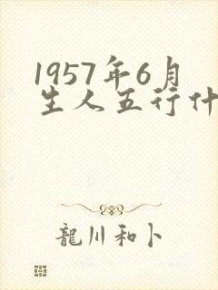 1957年6月生人五行什么命