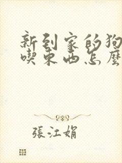 新到家的狗狗不吃东西怎么办