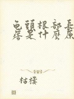 龟头根部长小疙瘩是什么原因