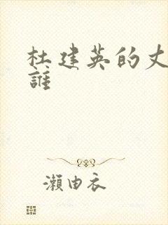 杜建英的丈夫是谁封面