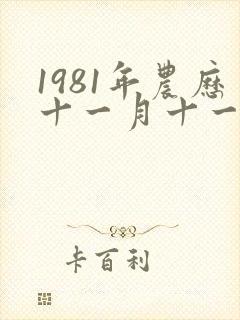 1981年农历十一月十一日出生的命运