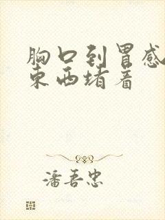 胸口到胃感觉有东西堵着