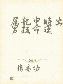 属龙申时出生的男孩命运