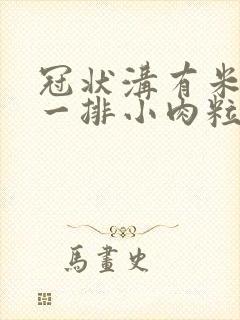 冠状沟有米粒状一排小肉粒封面