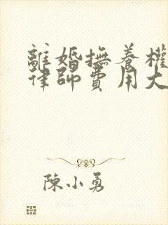 离婚抚养权起诉律师费用大概要多少