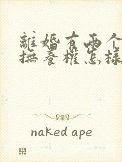 离婚有两个小孩抚养权怎样判定