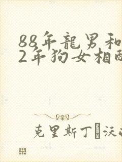 88年龙男和82年狗女相配婚姻如何