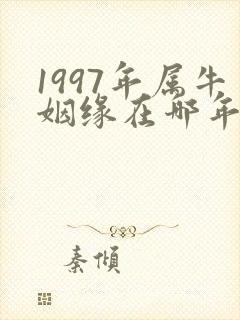 1997年属牛姻缘在哪年最旺盛封面