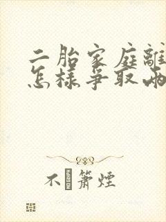 二胎家庭离婚时怎样争取两个孩子的抚养权