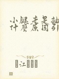 小腿老是抽筋是什么原因引起的女性