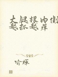 大腿根内侧瘙痒越抓越痒