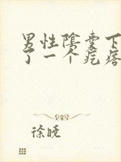 男性阴囊下部长了一个疙瘩封面