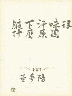 腋下汗味很大是什么原因