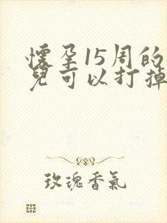 怀孕15周的胎儿可以打掉吗