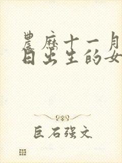 农历十一月十一日出生的女孩命运