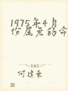 1975年4月份属兔的命运怎样