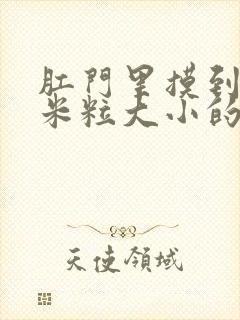 肛门里摸到一个米粒大小的硬疙瘩