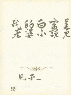 我的白富美总裁老婆小说免费阅读