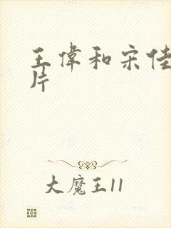 王伟和宋佳的照片