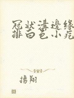 冠状沟边缘长一排白色小疙瘩