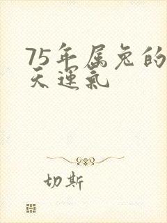 75年属兔的今天运气