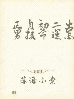 正月初二出生的男孩命运怎么样