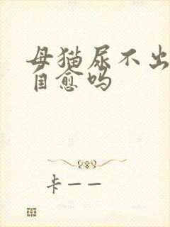 母猫尿不出来会自愈吗封面