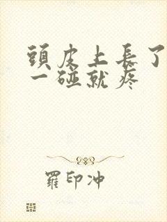 头皮上长了疙瘩一碰就疼封面