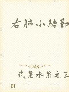 右肺小结节状影