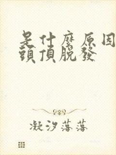 是什么原因导致头顶脱发封面