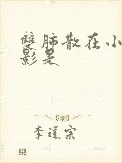 双肺散在小结节影是封面