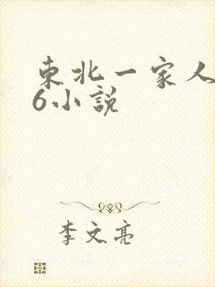 东北一家人1一6小说