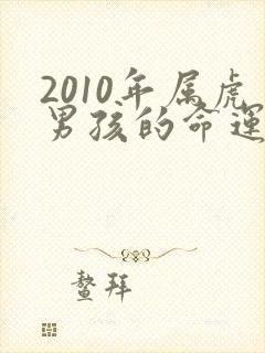 2010年属虎男孩的命运如何封面