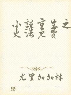 小说重生之狂暴火法免费