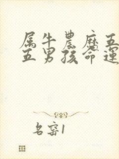 属牛农历五月十五男孩命运