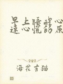 早上睡醒心跳加速心慌的原因引起的