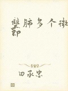 双肺多个微小结节