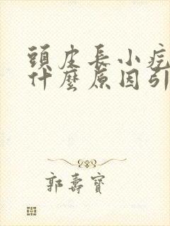 头皮长小疙瘩是什么原因引起的